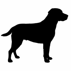 Dog Silhouette svg, Digital Download, Dog Silhouette svg bundle,Dog Silhouette png,Dog Breed Silhouettes, Dog Breed SVG