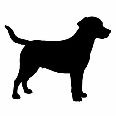 Dog Silhouette svg, Digital Download, Dog Silhouette svg bundle,Dog Silhouette png,Dog Breed Silhouettes, Dog Breed SVG