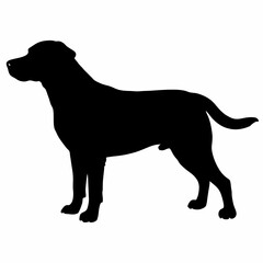 Dog Silhouette svg, Digital Download, Dog Silhouette svg bundle,Dog Silhouette png,Dog Breed Silhouettes, Dog Breed SVG