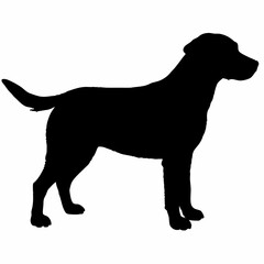 Dog Silhouette svg, Digital Download, Dog Silhouette svg bundle,Dog Silhouette png,Dog Breed Silhouettes, Dog Breed SVG