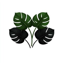 Tropical Leaf Arrangement - Green and Black Monstera Deliciosa