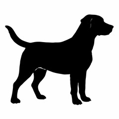 Dog Silhouette svg, Digital Download, Dog Silhouette svg bundle,Dog Silhouette png,Dog Breed Silhouettes, Dog Breed SVG