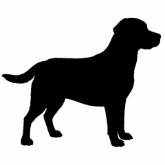 Dog Silhouette svg, Digital Download, Dog Silhouette svg bundle,Dog Silhouette png,Dog Breed Silhouettes, Dog Breed SVG