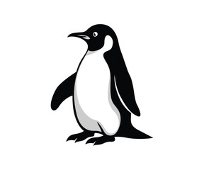 Naklejka premium Penguin vector