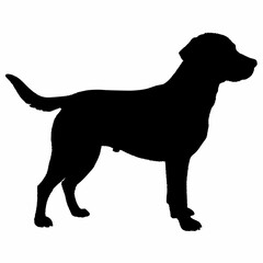 Dog Silhouette svg, Digital Download, Dog Silhouette svg bundle,Dog Silhouette png,Dog Breed Silhouettes, Dog Breed SVG