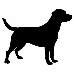 Dog Silhouette svg, Digital Download, Dog Silhouette svg bundle,Dog Silhouette png,Dog Breed Silhouettes, Dog Breed SVG
