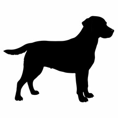 Dog Silhouette svg, Digital Download, Dog Silhouette svg bundle,Dog Silhouette png,Dog Breed Silhouettes, Dog Breed SVG