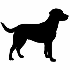 Dog Silhouette svg, Digital Download, Dog Silhouette svg bundle,Dog Silhouette png,Dog Breed Silhouettes, Dog Breed SVG