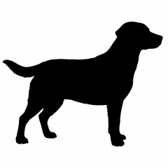 Dog Silhouette svg, Digital Download, Dog Silhouette svg bundle,Dog Silhouette png,Dog Breed Silhouettes, Dog Breed SVG