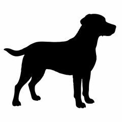Dog Silhouette svg, Digital Download, Dog Silhouette svg bundle,Dog Silhouette png,Dog Breed Silhouettes, Dog Breed SVG