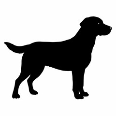 Dog Silhouette svg, Digital Download, Dog Silhouette svg bundle,Dog Silhouette png,Dog Breed Silhouettes, Dog Breed SVG