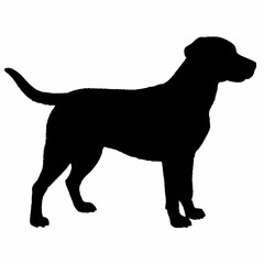 Dog Silhouette svg, Digital Download, Dog Silhouette svg bundle,Dog Silhouette png,Dog Breed Silhouettes, Dog Breed SVG
