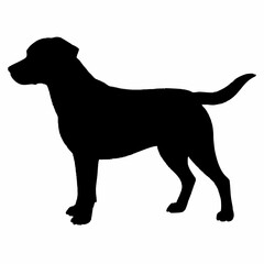 Dog Silhouette svg, Digital Download, Dog Silhouette svg bundle,Dog Silhouette png,Dog Breed Silhouettes, Dog Breed SVG