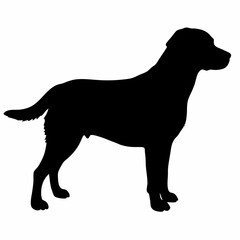 Dog Silhouette svg, Digital Download, Dog Silhouette svg bundle,Dog Silhouette png,Dog Breed Silhouettes, Dog Breed SVG