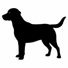 Dog Silhouette svg, Digital Download, Dog Silhouette svg bundle,Dog Silhouette png,Dog Breed Silhouettes, Dog Breed SVG