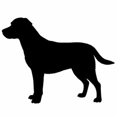 Dog Silhouette svg, Digital Download, Dog Silhouette svg bundle,Dog Silhouette png,Dog Breed Silhouettes, Dog Breed SVG