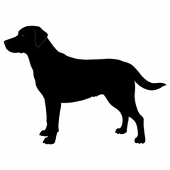 Dog Silhouette svg, Digital Download, Dog Silhouette svg bundle,Dog Silhouette png,Dog Breed Silhouettes, Dog Breed SVG