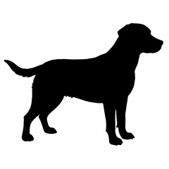 Dog Silhouette svg, Digital Download, Dog Silhouette svg bundle,Dog Silhouette png,Dog Breed Silhouettes, Dog Breed SVG