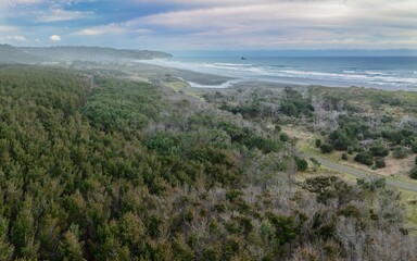 Woodhill Forest and ocean beach and Muriwai, Auckland, New Zealand.