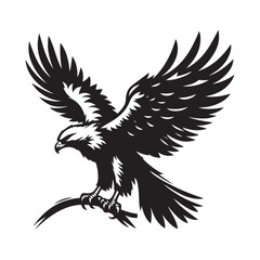 vector,eagle silhouette