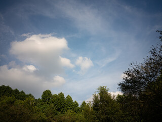 Obraz premium 하늘