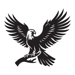 vector,eagle silhouette