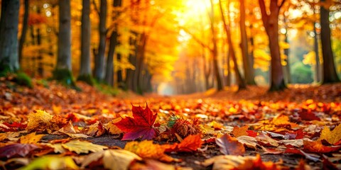 Vibrant autumn leaves covering the forest floor , autumn, woods, foliage, vibrant, colors, nature, trees, leaves