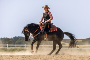 Western riding concept: A young woman and her black quarter horse stallion doing some reining...