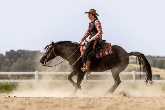 Western riding concept: A young woman and her black quarter horse stallion doing some reining dressage lessons and interacting together