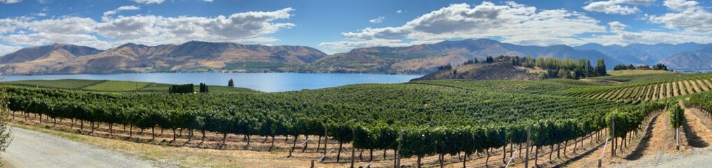 Lake Chelan wine country, a panoramic view showing vineyards, the lake and the surrounding hills in...