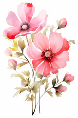 watercolor bouquet of flowers, perfect for graphic design, isolated clipart