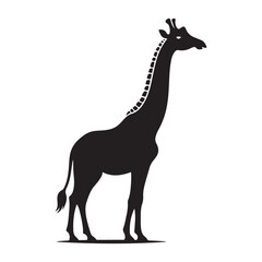 silhouette Giraffe