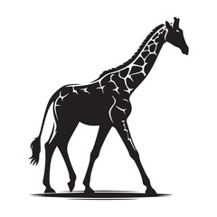 silhouette Giraffe