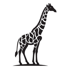 Naklejka premium silhouette Giraffe