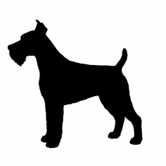 dog silhouette, dog vector art ,dog svg