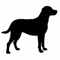 dog silhouette, dog vector art ,dog svg