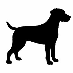 dog silhouette, dog vector art ,dog svg