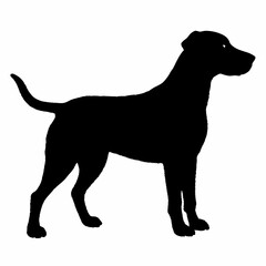 dog silhouette, dog vector art ,dog svg