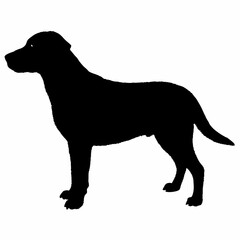 dog silhouette, dog vector art ,dog svg