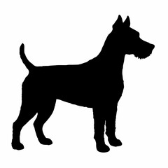 Dog Breeds Silhouette Svg Bundle, Dog Breed Svg,