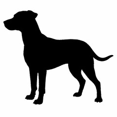 dog silhouette, dog vector art ,dog svg