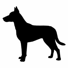 dog silhouette, dog vector art ,dog svg