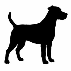 dog silhouette, dog vector art ,dog svg