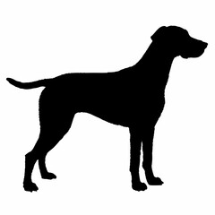 dog silhouette, dog vector art ,dog svg