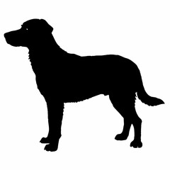 dog silhouette, dog vector art ,dog svg