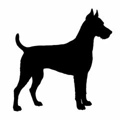 dog silhouette, dog vector art ,dog svg