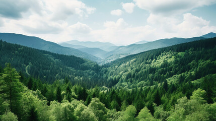 Obraz premium Majestic Mountain Range with Lush Green Forest