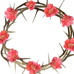 Crown of thorns with red flowers watercolor illustration isolated on white. High quality art for cards, posters, stickers, Easter, Passover, Holy Thursday, christening baptism church decor and design