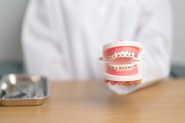 Dentist with Orthodontic tooth model and bracket or brace. Clean and Scrape off tartar. May...