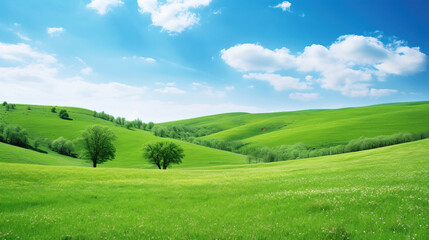 Obraz premium Serene Rolling Hills: A Tranquil Green Landscape